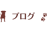 blog_03