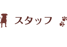 staff_03