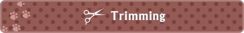 trimming_link_pdf_btn